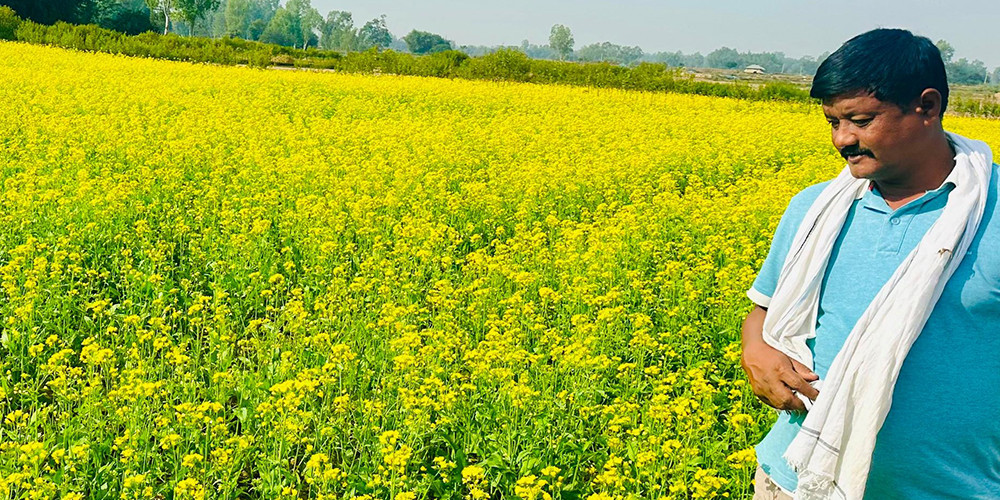 राजनीतिसँगै कृषिकर्ममा पूर्वप्रमुख चौधरी